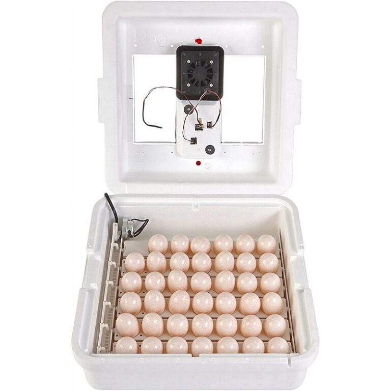 Circulated Air Incubator for Egg Hatching