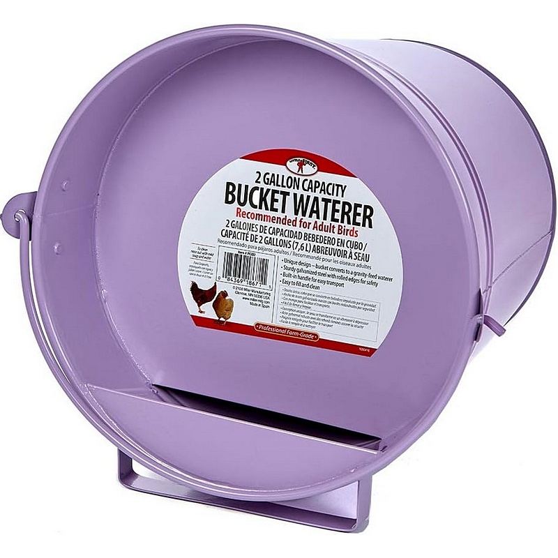 Little Giant Bucket Waterer 2 gal