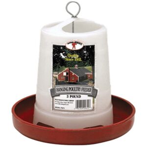 Plastic Hanging Poultry Chicken Feeder 3 lb