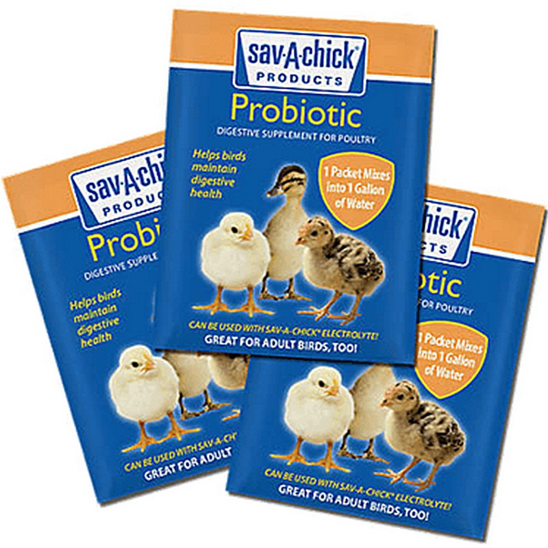 Sav A Chick Probiotic Packets