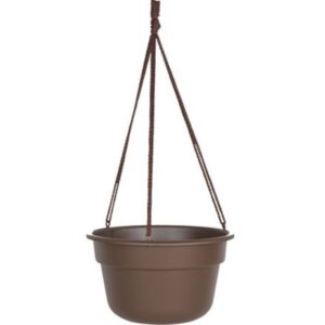 Bloem Dura Cotta Hanging Basket Chocolate 12 inch