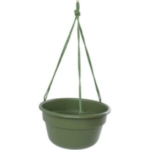 Bloem Dura Cotta Hanging Basket Living Green 12 inch