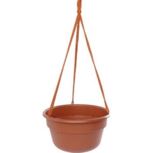 Bloem Dura Cotta Hanging Basket Terracotta 12 inch