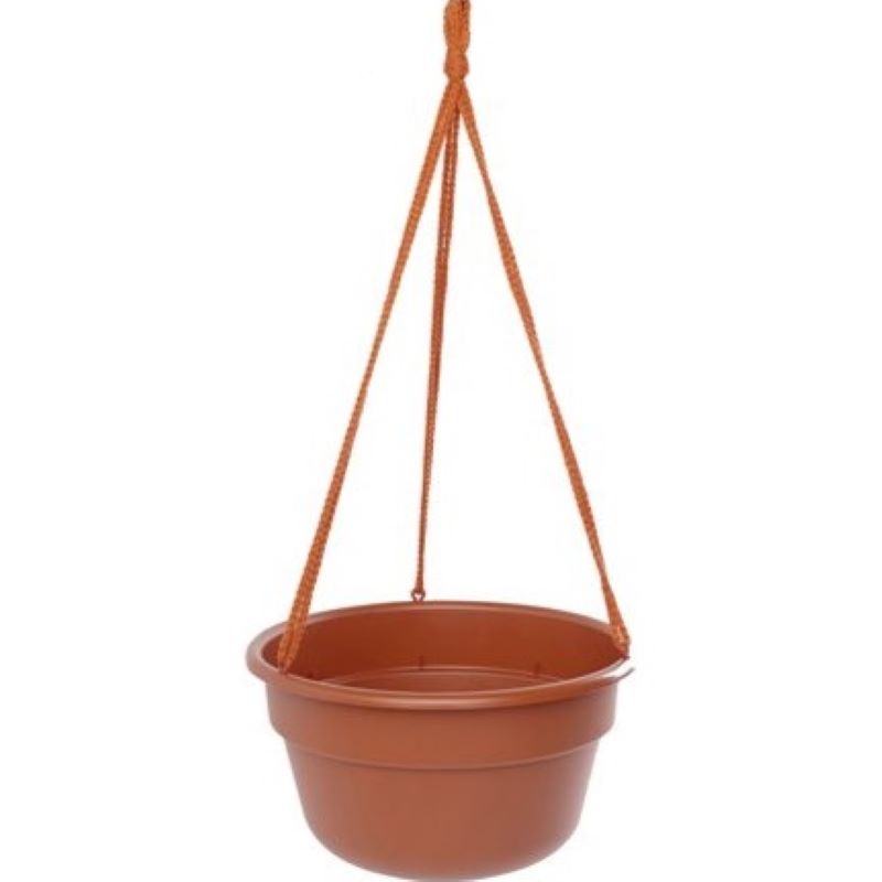 Bloem Dura Cotta Hanging Basket Terracotta 12 inch