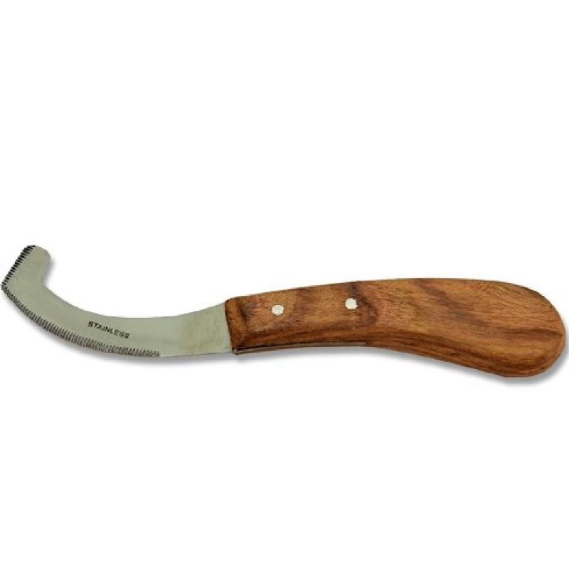 Farrier Bot Knife for Horses