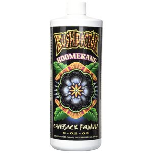 Bush Doctor Boomerang Comeback 16 Oz