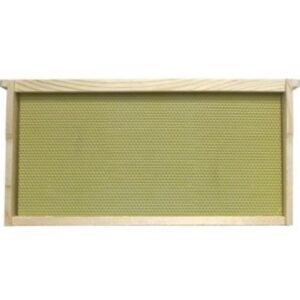 Deep 9 1/8 Grooved Top Bar Frames with Coated Plasticell
