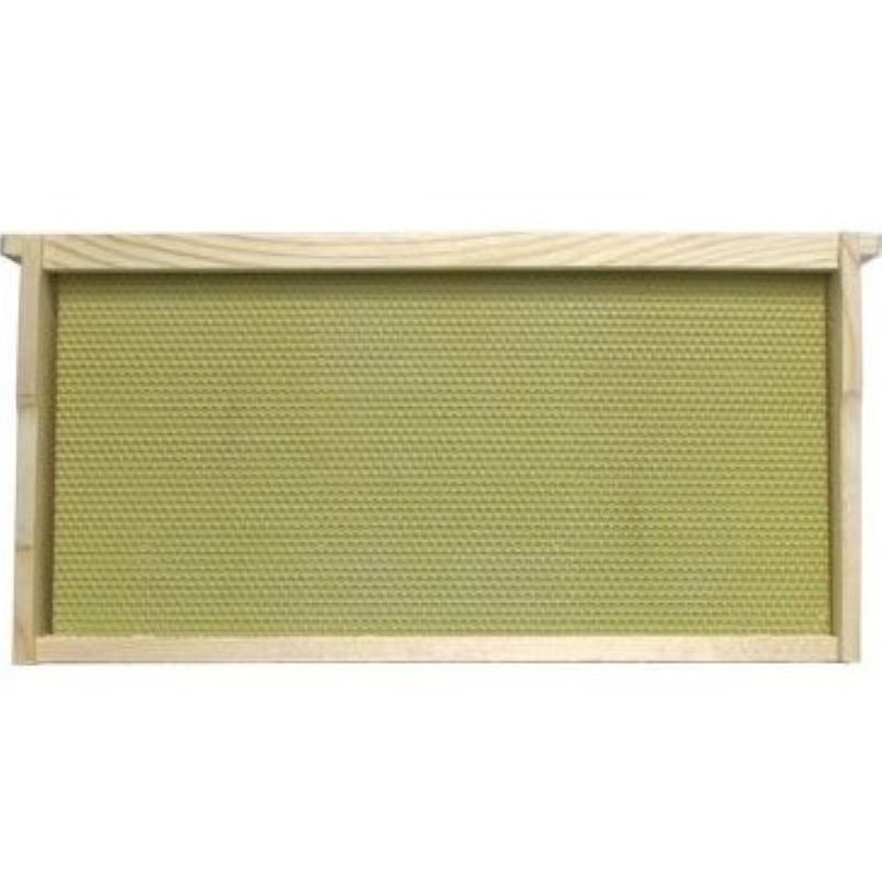 Deep 9 1/8 Grooved Top Bar Frames with Coated Plasticell
