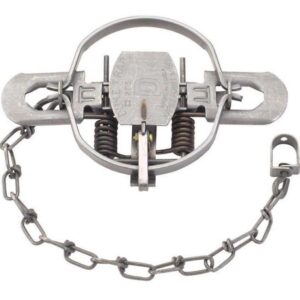 Duke #2 Small Foot Hold Animal Trap for Foxes