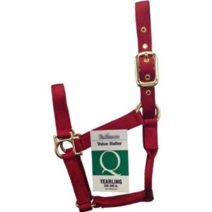 Econo Halter Yearling Red 3-50Q