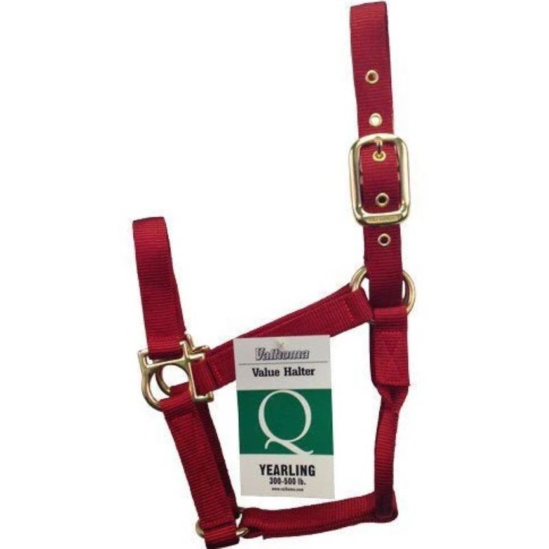 Econo Halter Yearling Red 3-50Q