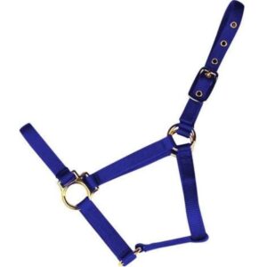 Econo Horse Halter Adult Blue 8 11Q