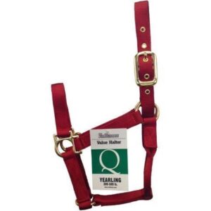 Econo Horse Halter Large Red 11-15Q