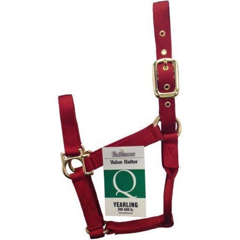 Econo Horse Halter Large Red 11-15Q
