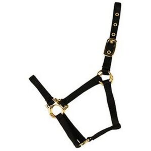 Econo Horse Halter Small Black 5 80Q