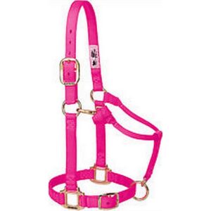 Econo Horse Halter Yearling Hot Pink 3 50Q