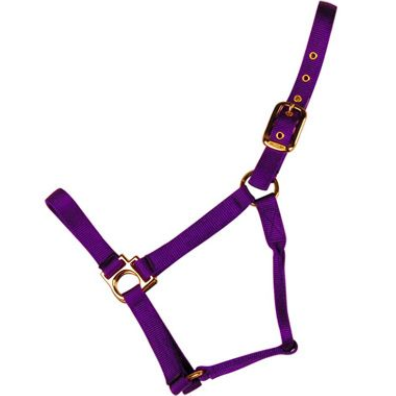 Econo Horse Halter Yearling Purple 3-50Q