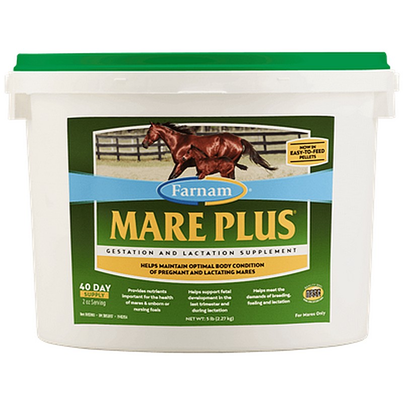 Mare Plus 5 lb for Horses