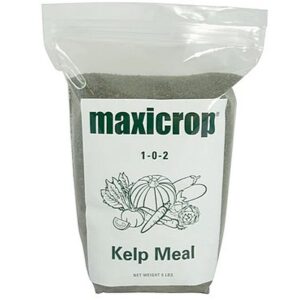 Maxicrop Kelp Meal 5 Lb
