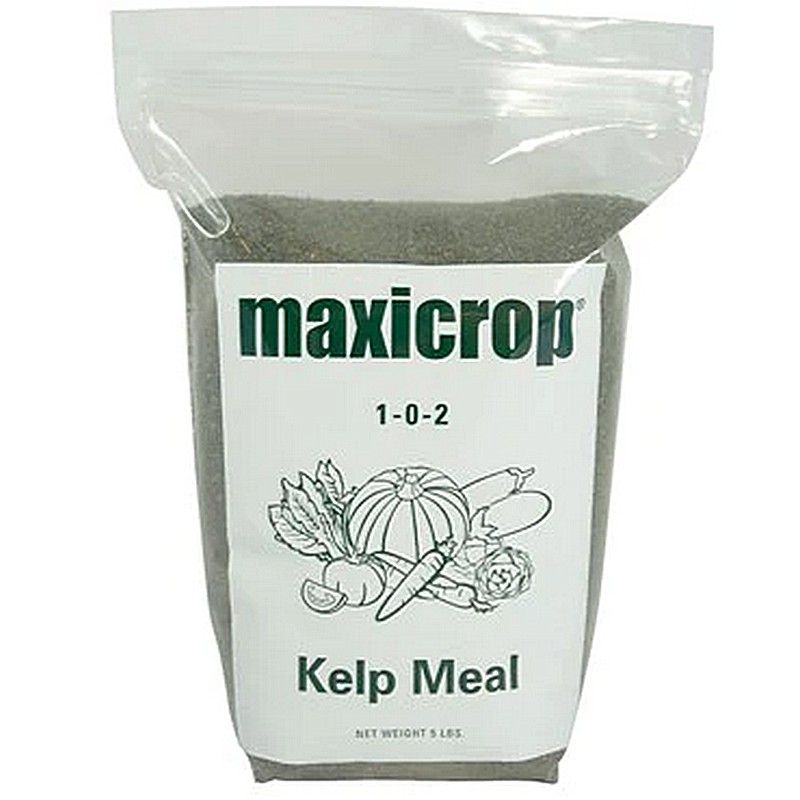 Maxicrop Kelp Meal 5 Lb