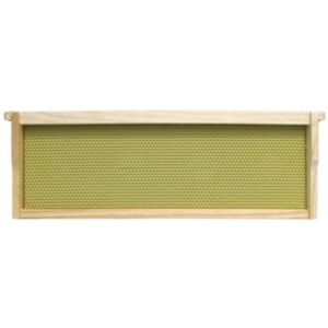 Medium Double Coated Plasticell Frame 6-1-4″