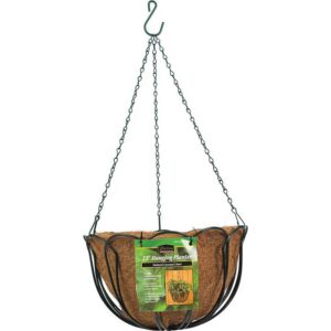 Panacea Steel Hanging Basket Green 12 inch