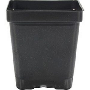 Square Deep Vacuum Pot Black 4 in