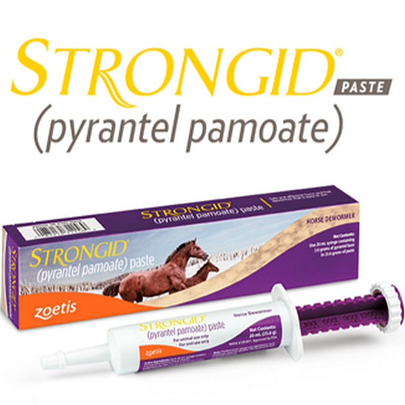 Strongid Equine Dewormer Paste 20ml