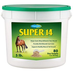 Super 14 Healthy Skin & Coat Horse Supplement 5 lb