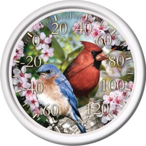 Taylor Cardinal Blue Bird Dial Thermometer Plastic 13.5 inch