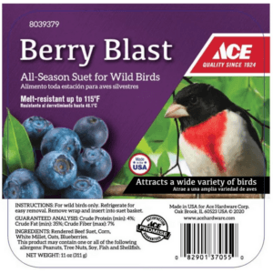 Ace Berry Blast Suet Cake 11 oz