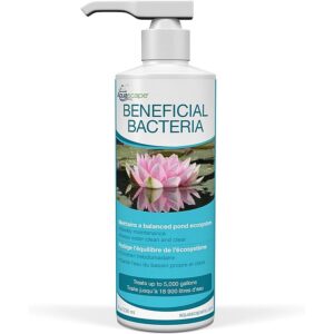 Aquascape Beneficial Pond Bacteria 8 oz