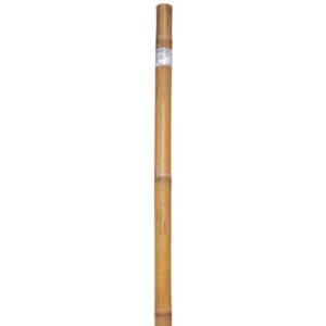 Bond Bamboo Plant Stake 6