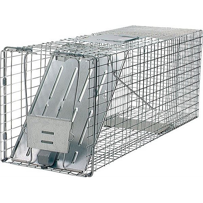 Havahart Large 32 Live Catch Cage Trap