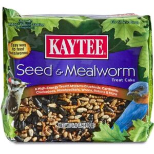 Kaytee Seed Mealworm Treat Cake for Birds