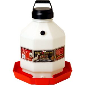 Little Giant Plastic Poultry Fountain 5 gal