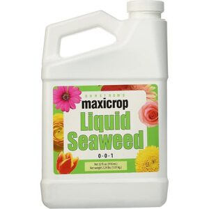Maxicrop Liquid Seaweed 0 0 1 1 Qt