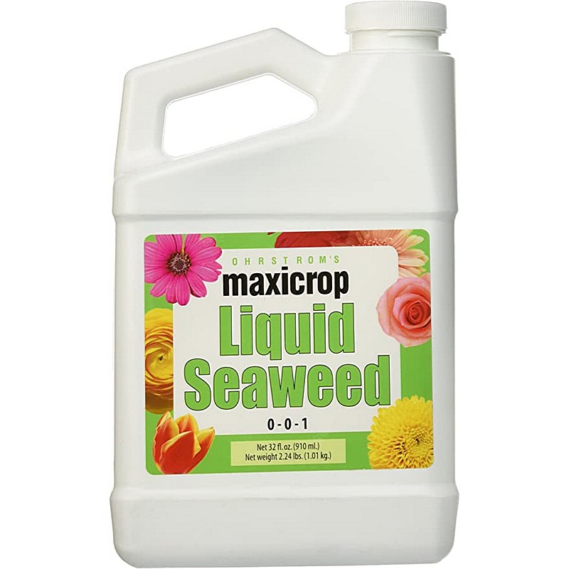 Maxicrop Liquid Seaweed 0 0 1 1 Qt