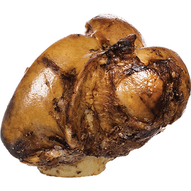 Meaty Knuckle Bone Dog Chew