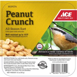 Peanut Crunch Suet Cake 11 oz Bird Food