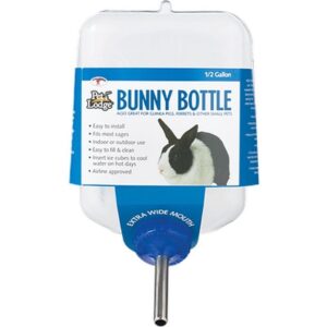 Bunny Water Bottle 64 oz for drinking