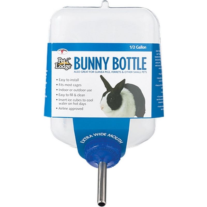 Bunny Water Bottle 64 oz for drinking