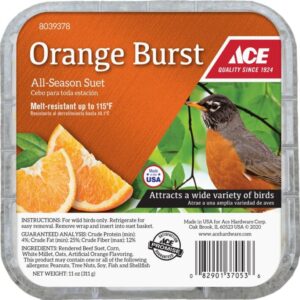 Ace Orange Burst Suet Cake 11 oz