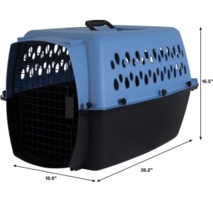 Aspen Pet Porter Plastic Travel Pet Carrier 26”