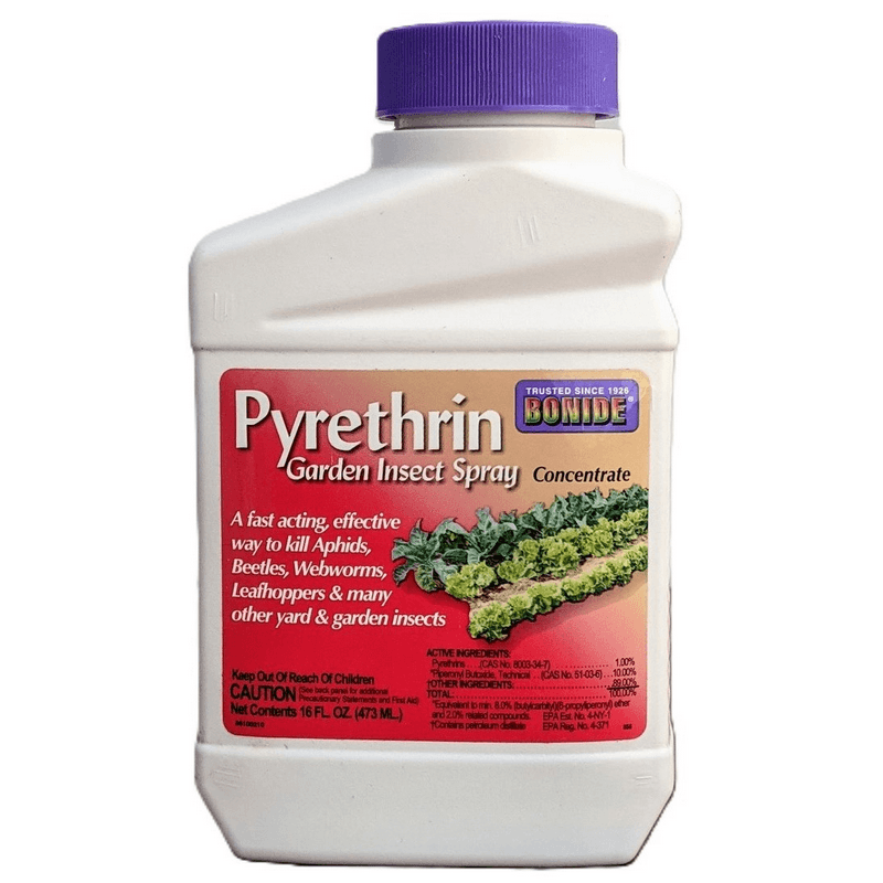 Bonide Pyrethrin Garden Spray Concentrate 16 oz