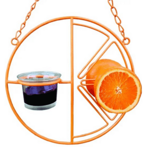 Clementine Oriole Bird Feeder