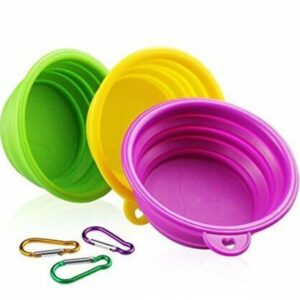 Diamond Visions Pop Up Collapsible Pet Bowls 5 inch Brights
