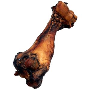 Dino Dog Bone