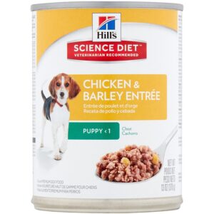 Hill's Science Diet Chicken/Barley Canned Puppy Food 13.1 oz