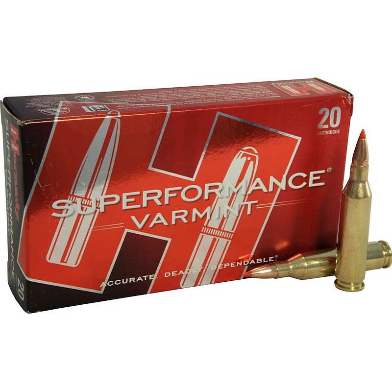 Hornady Superformance Varmint .243 Mag 58gr 50 Ct Ammo